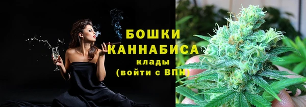 дживик Богородицк
