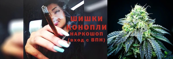 скорость Бородино