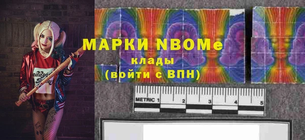дживик Богородицк