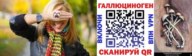 Псилоцибиновые грибы Cubensis  Верхняя Пышма 